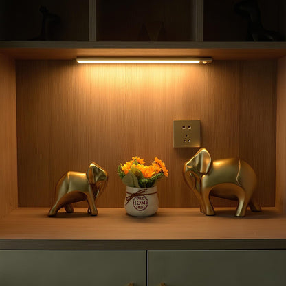Motion Sensor Light Bar